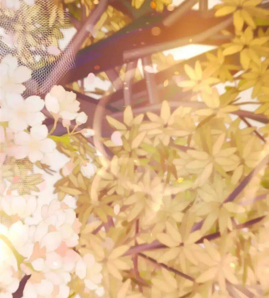 phượng hoàn triều: vương gia yêu nghiệt xin tránh đường chapter 25 51