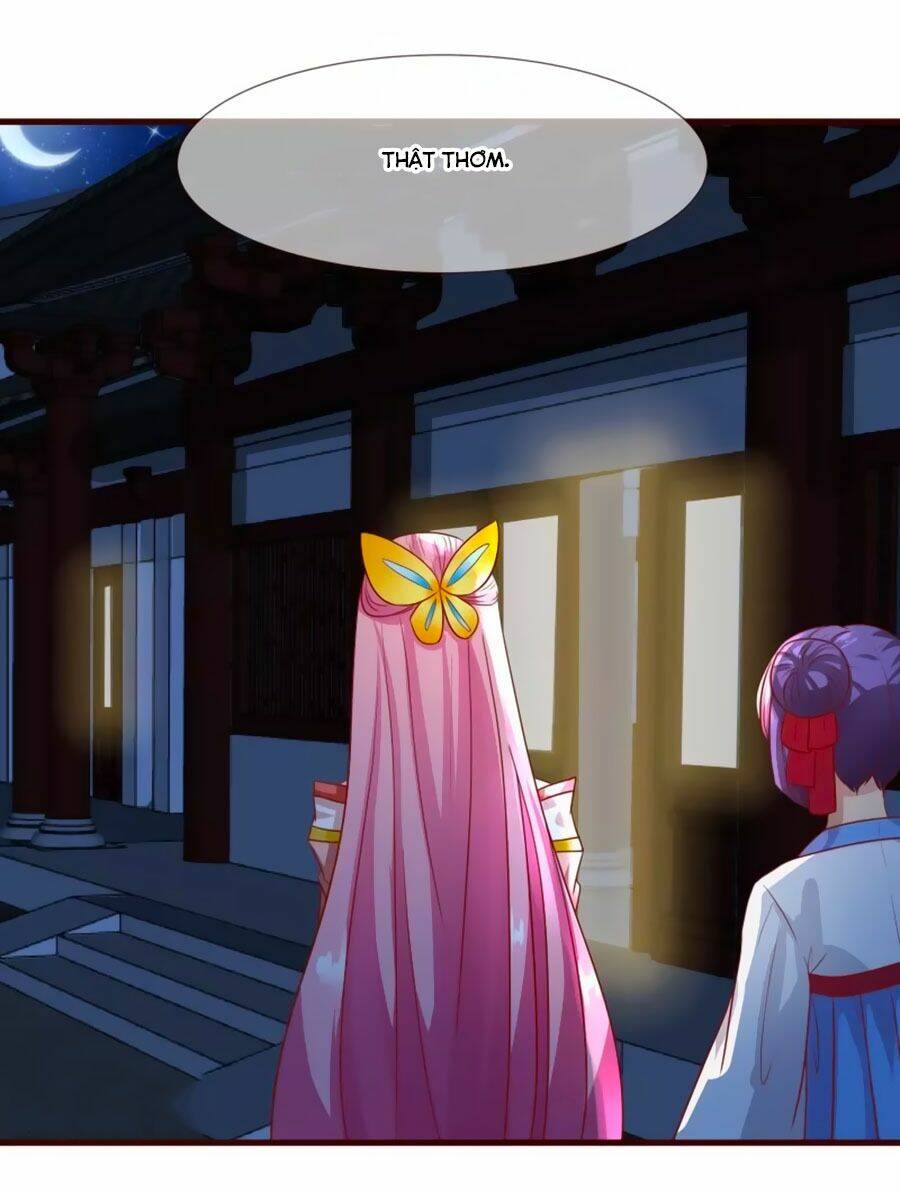 thỏ yêu tiểu vương phi chapter 10 23