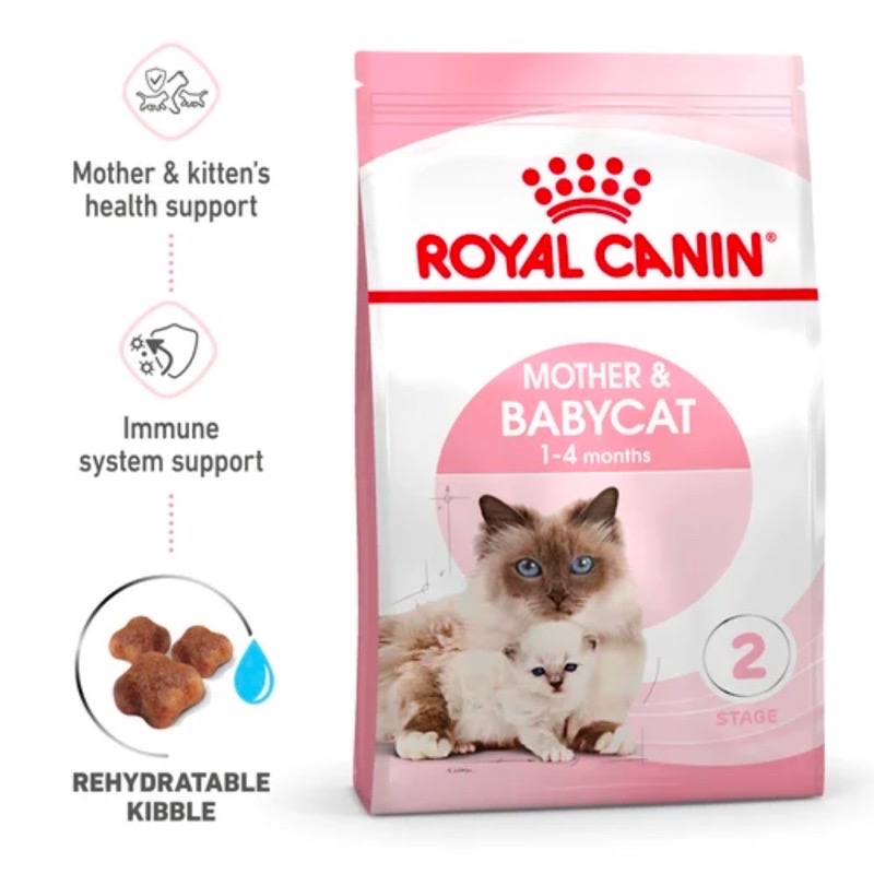 Hạt canin  Royal Canin baby cat cho mèo