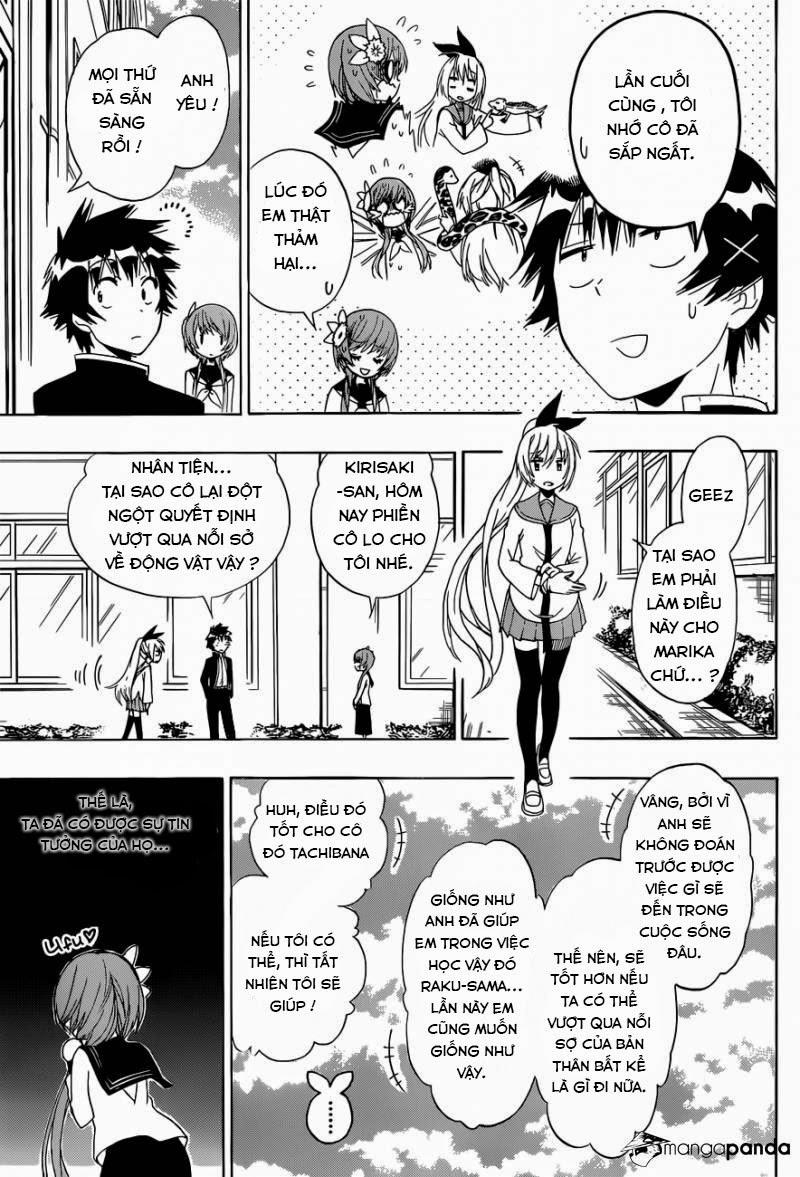 nisekoi - tình yêu giả tạo chapter 142 3