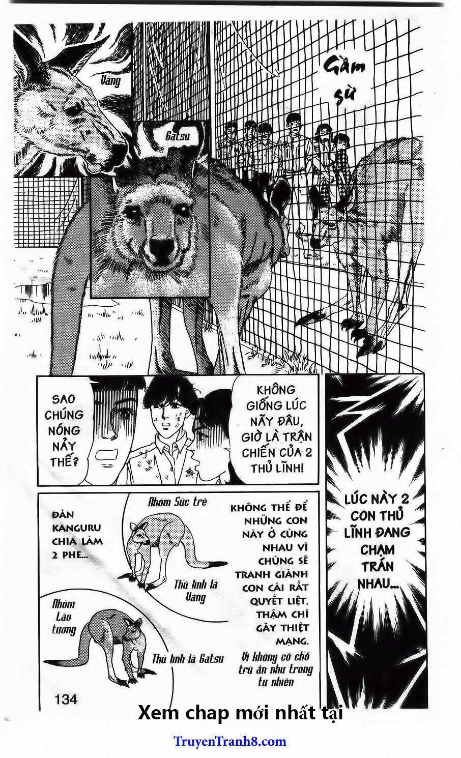 doubutsu no oishasan chapter 116 16