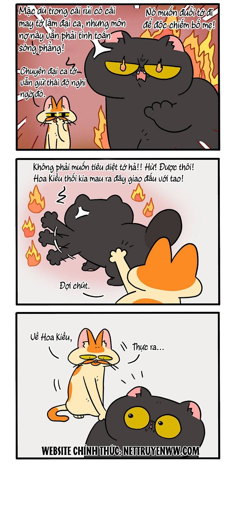 a mãn và mạch trà chapter 49 2