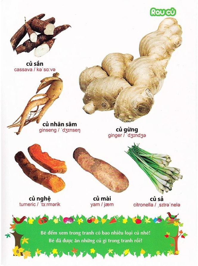 Sách: Từ Điển Tranh Về Rau - Củ - Quả - Hoa B55