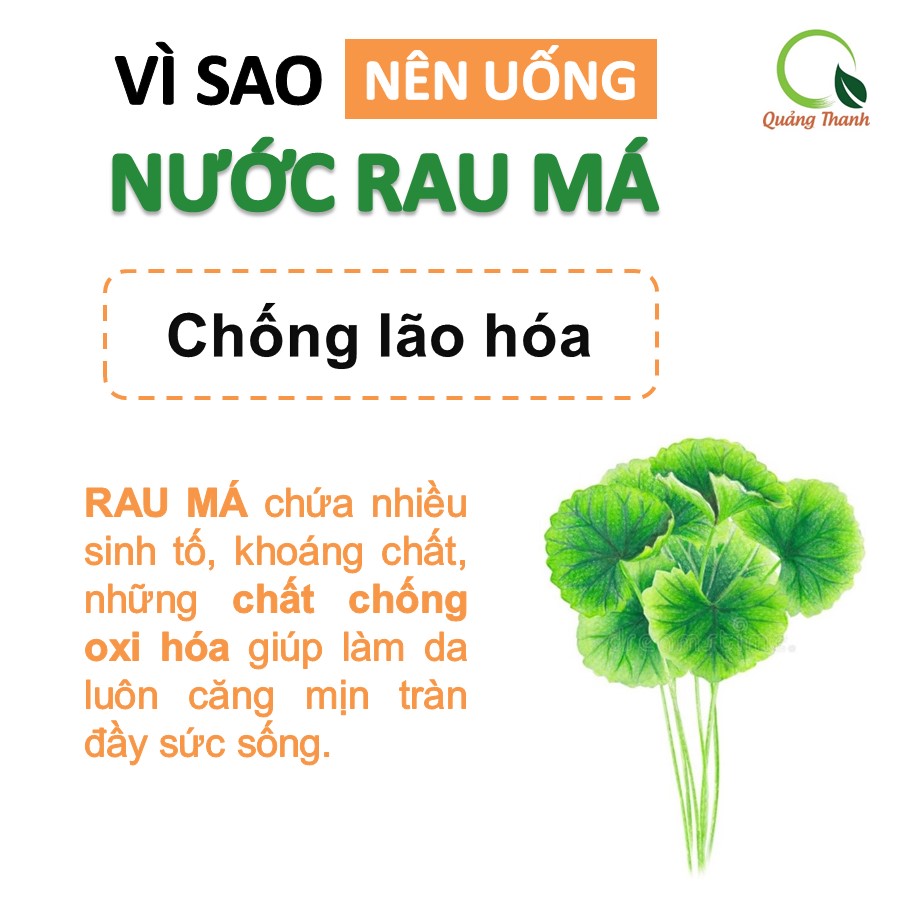 Bột rau má sấy lạnh Quảng Thanh, bịch 50gr - Giải độc, mát gan, thanh nhiệt cơ thể, giảm mụn, đẹp da