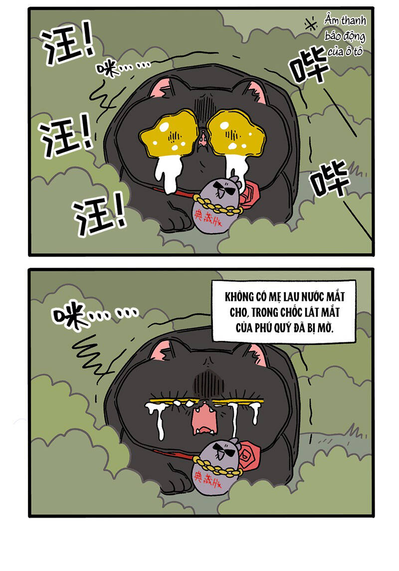 a mãn và mạch trà chapter 37 4