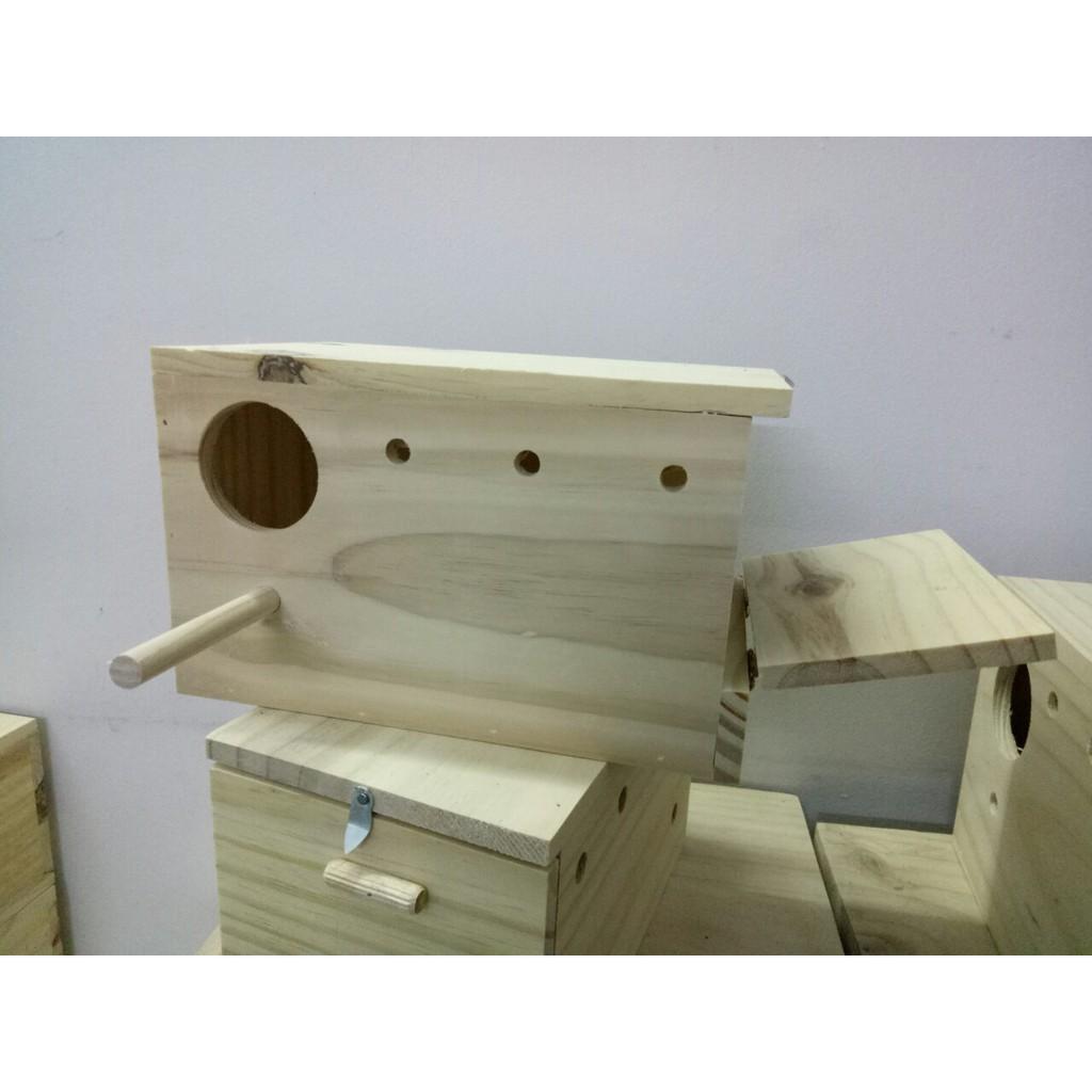 TỔ ĐẺ COCKATEIL