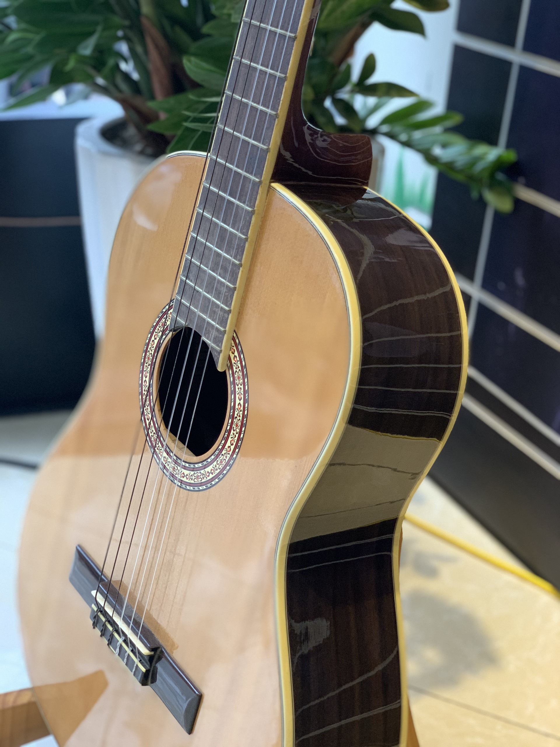 Đàn Guitar Classic Stagg C548-N