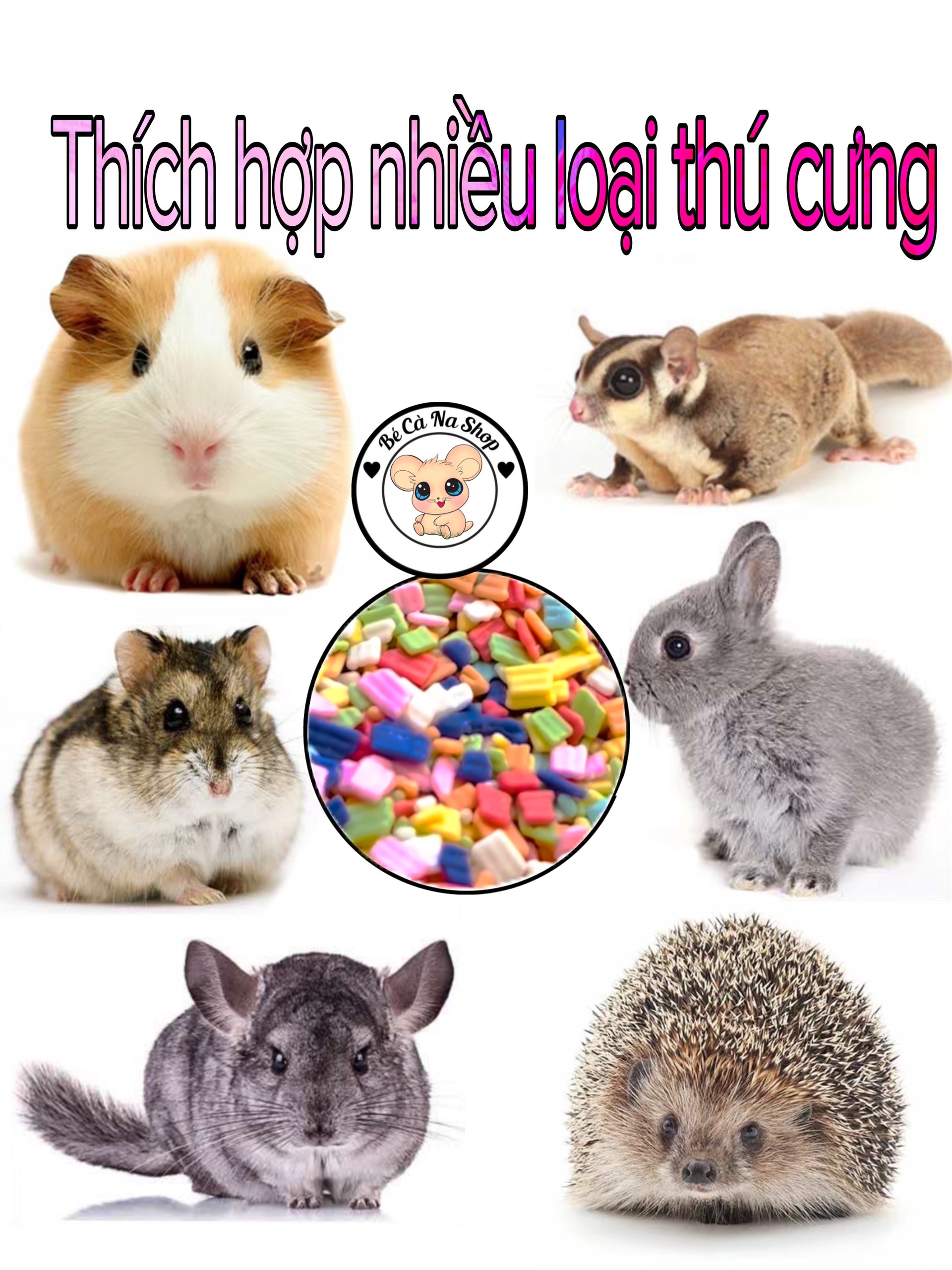 Kẹo vitamin mềm hình đá Thức ăn cho hamster thỏ bọ sóc chinchilla...