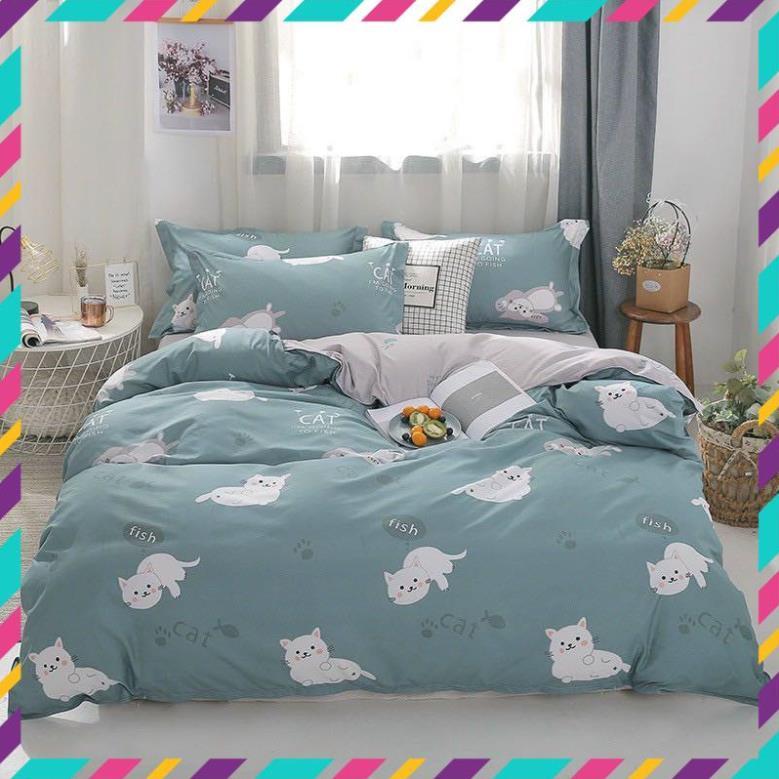Chăn ga gối, cotton poly Mã Fly 2