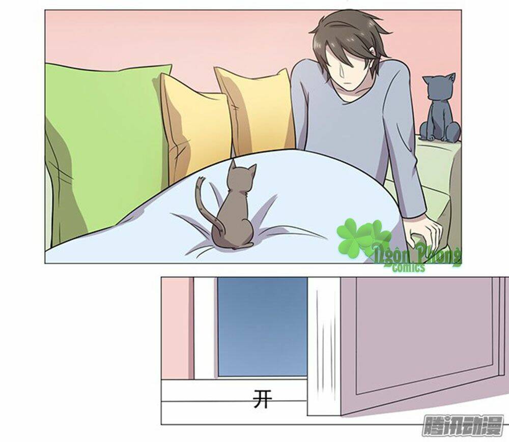 hai chú mèo totem chapter 37 48