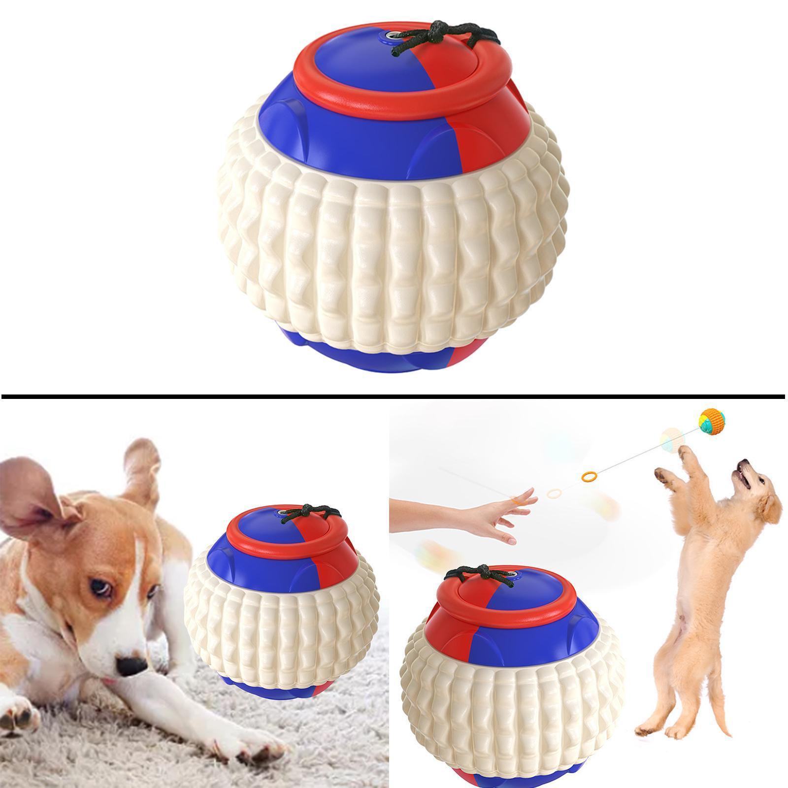 Dog Chew Toys  for Interactive