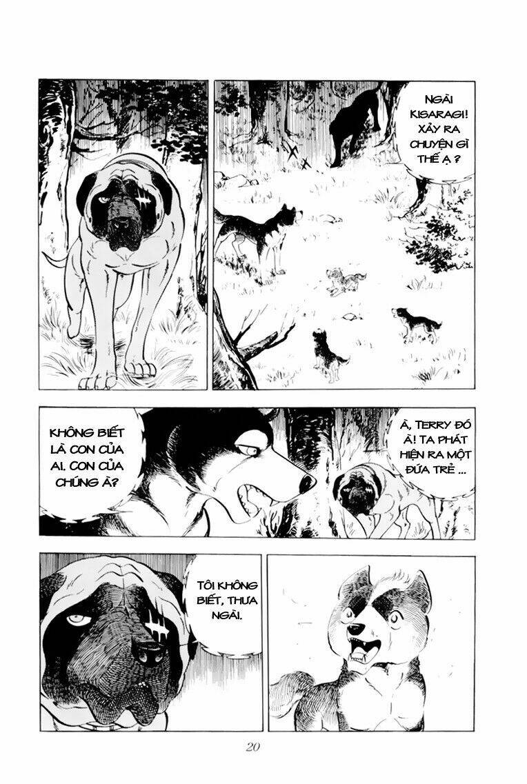 chú chó có nghĩa - ginga nagareboshi gin chapter 31 21