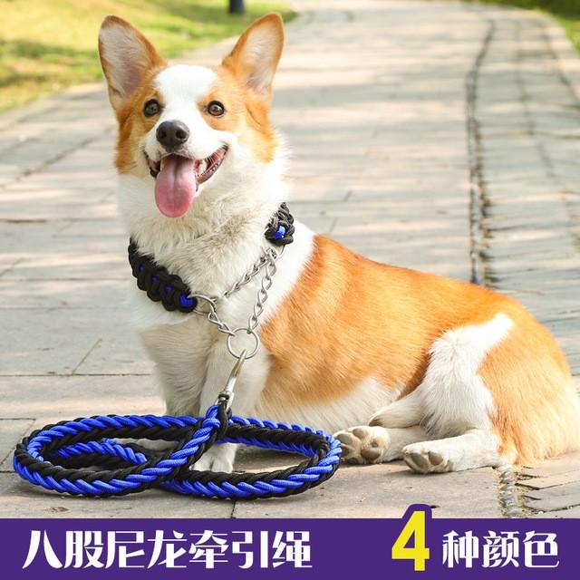 Dây dắt thú cưng đi dạo, dây nilon bện 8 sợi HT2-23