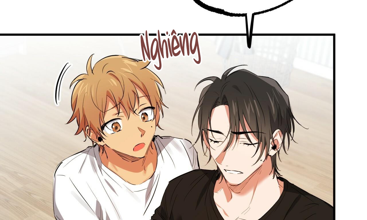 những chú thỏ của hapypy chapter 51 178