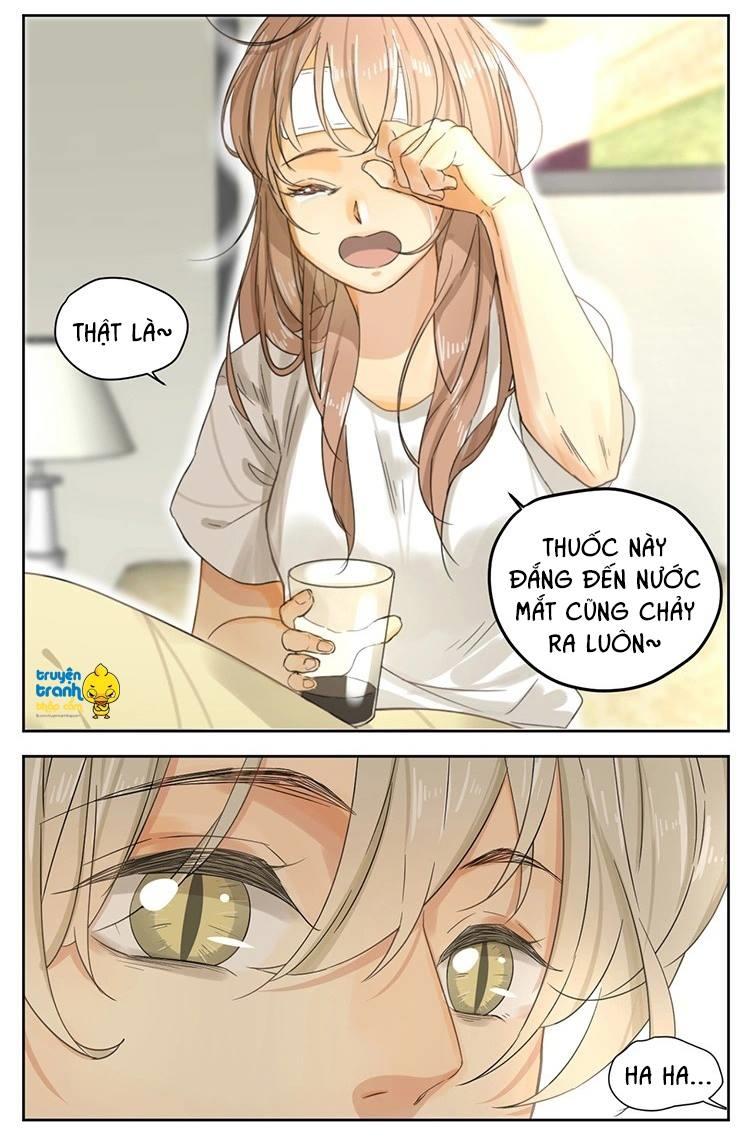 cứu mạng ! loài mèo thống trị thế giới rồi ! chapter 14 13