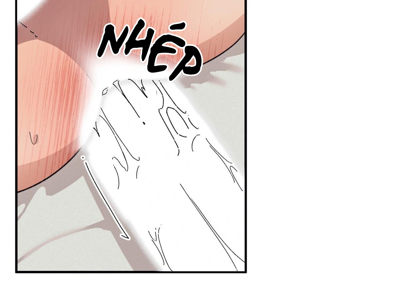 chàng dâu nhà họ kang chapter 44 146