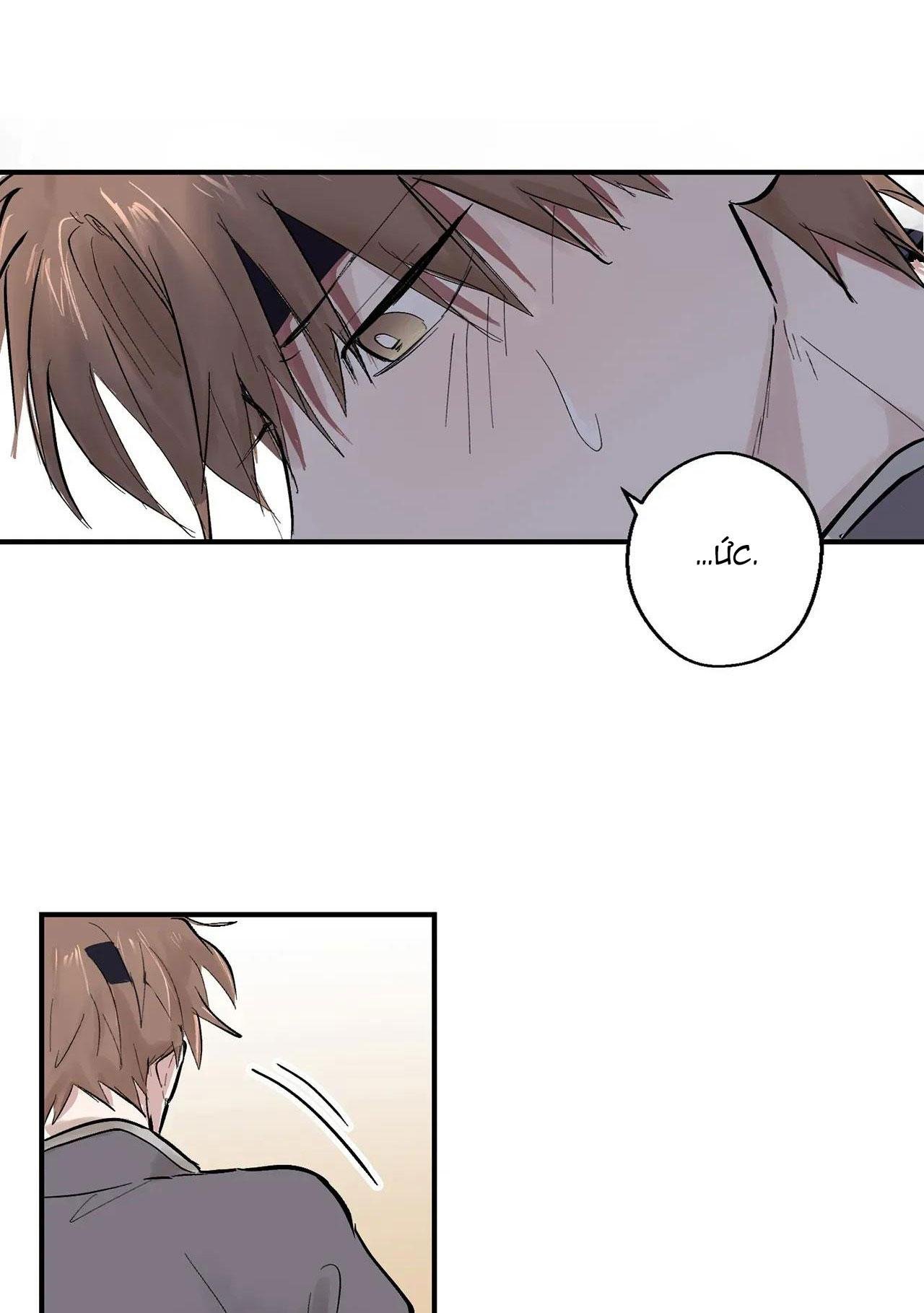 bl cổ trang - âu cổ ngắn nhà kim chapter 38.2 46