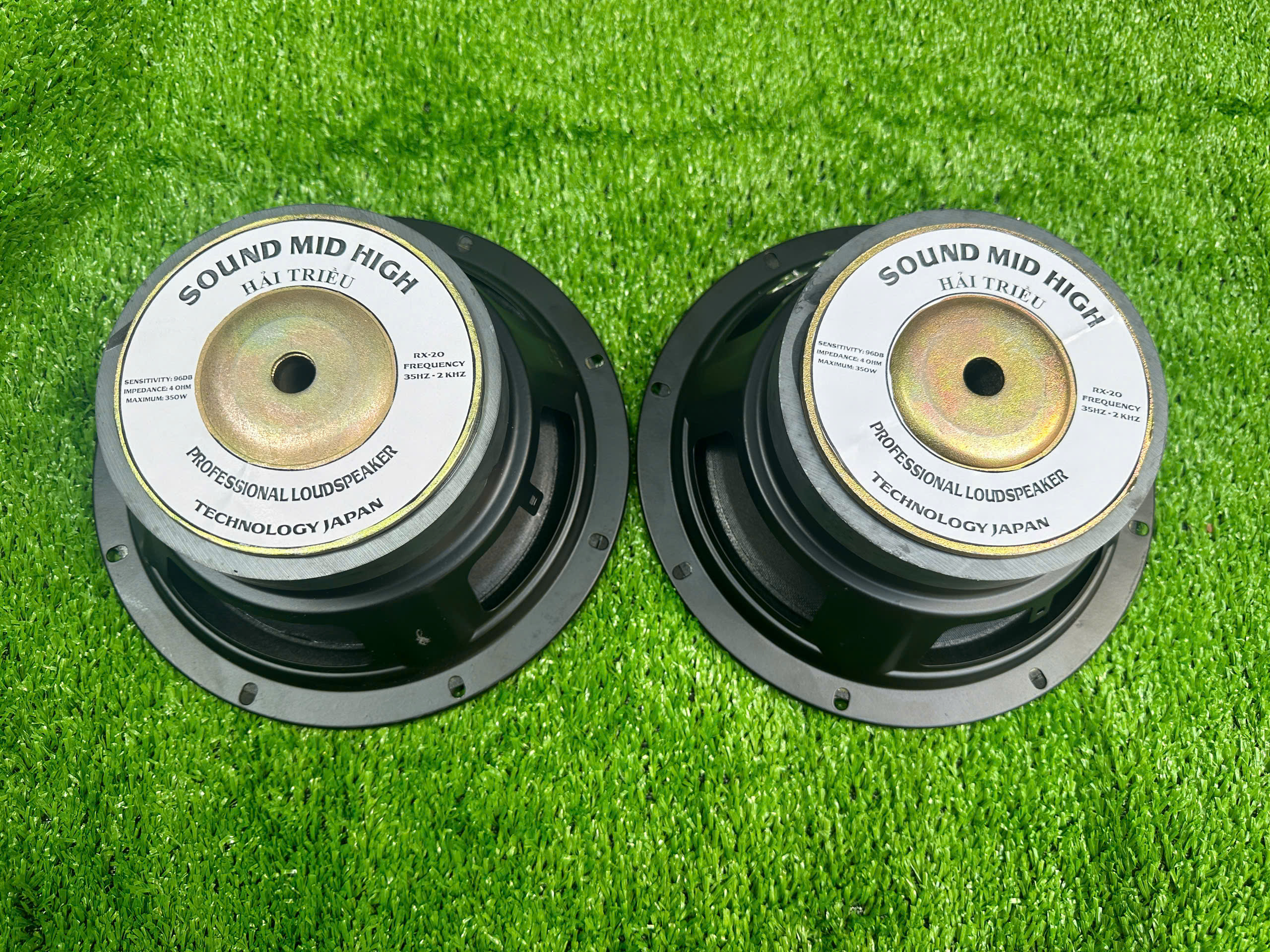 CỦ LOA BASS RỜI 20 TỪ LỚN HÀNG CHÍNH HÃNG HẢI TRIỀU COIL 38 TỪ 126 MÀN VÀNG (GIÁ 1 CÁI)