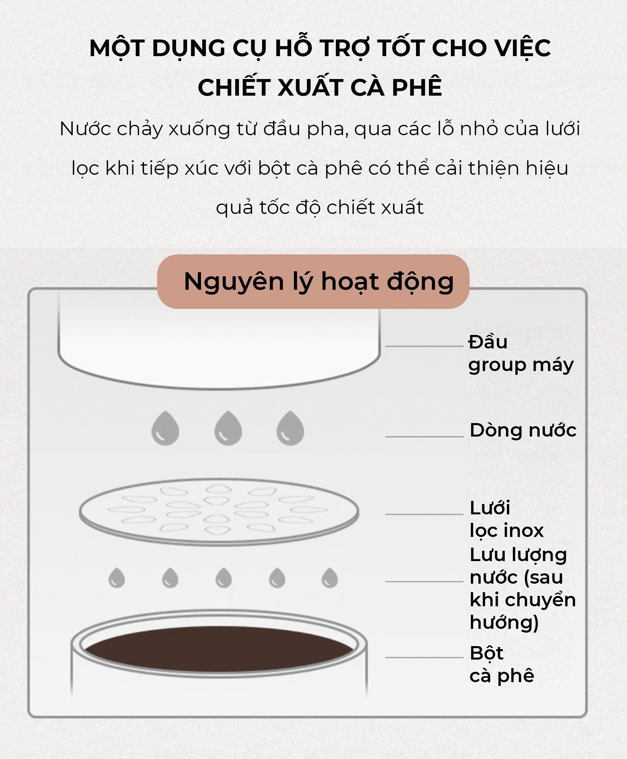 Lưới lọc chia nước nhỏ giọt espresso inox 304