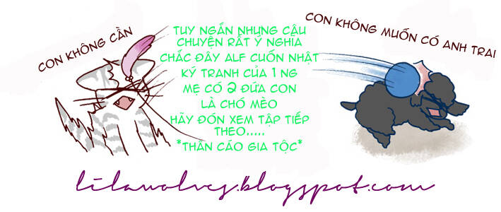 my young cat and my old dog chapter 2 8