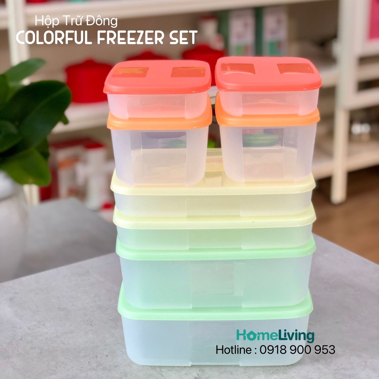 Bộ Trữ Đông Tupperware Freezermate Colorful Set 8