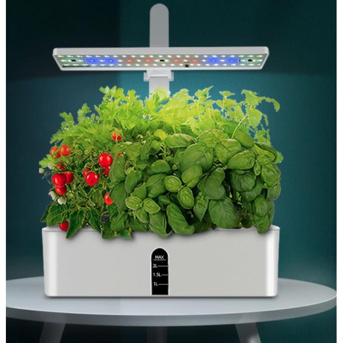 Máy Giúp Cây Trồng Nảy Mầm Gốc Nhanh Có Tích Hợp Led UV Smart Cultivation