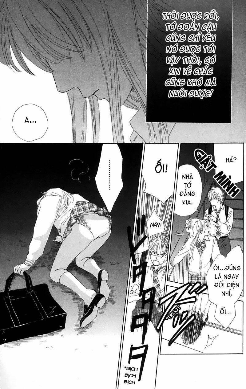 100% no kimi e chapter 1 35