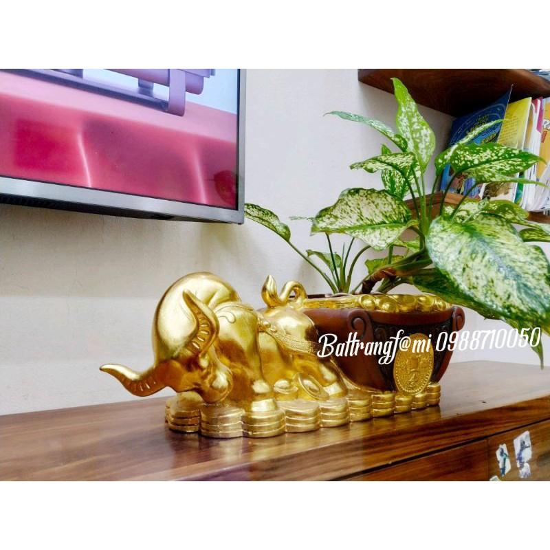 Trâu Vàng Đại Cát, Chiêu Tài Tụ Bảo
