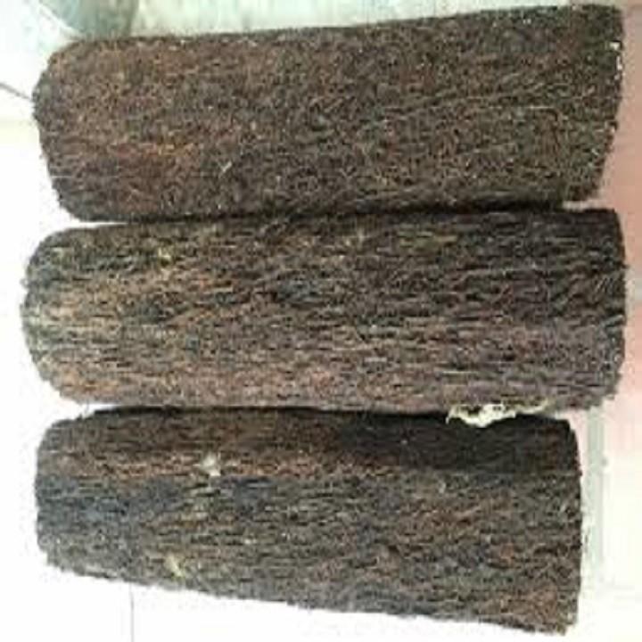 Dớn Trụ Ghép Lan - Đã Qua Xử Lý