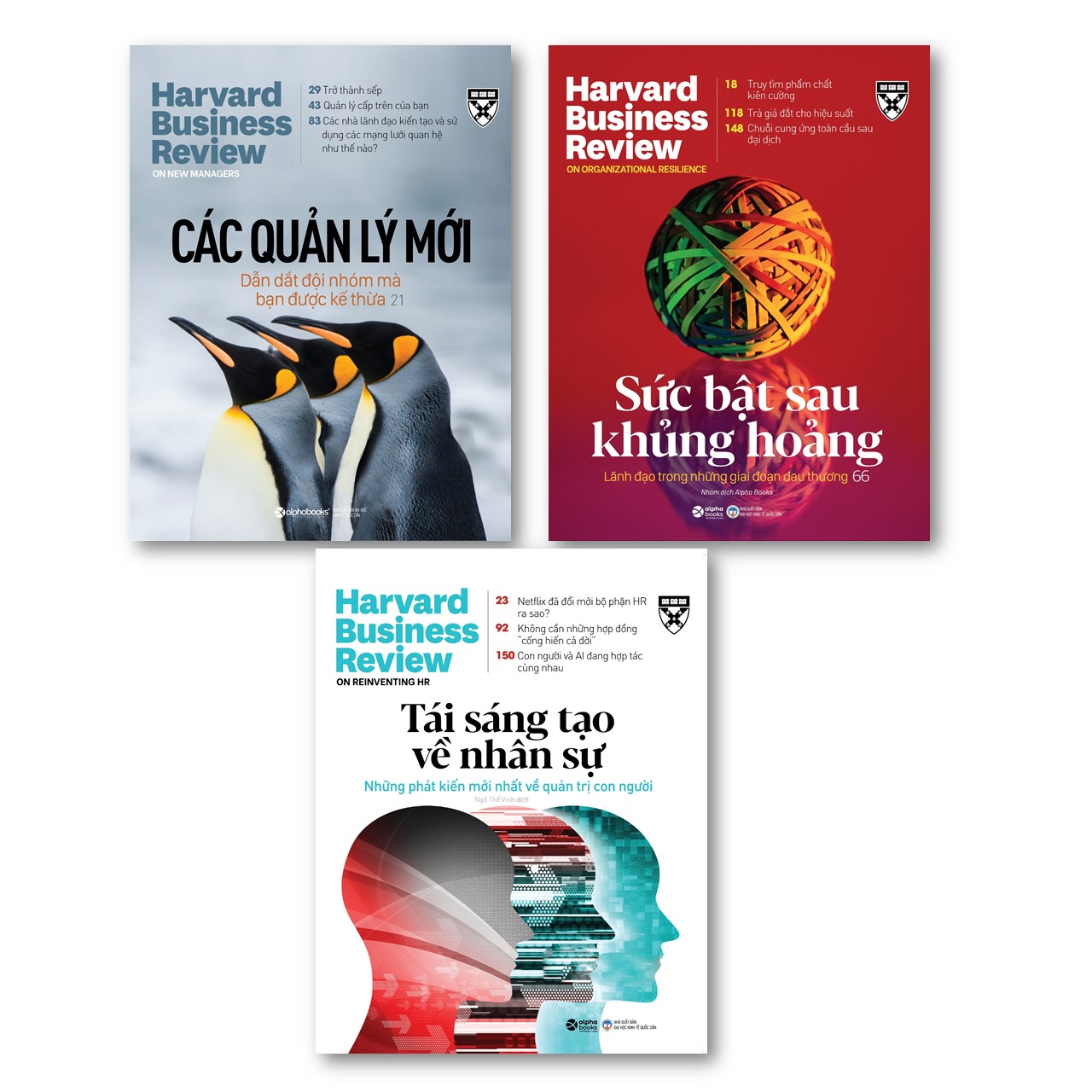 Bộ Hbr Onpoint 2021 - Tầm Nhìn Mới Về Lãnh Đạo 3 Cuốn Kỳ 2