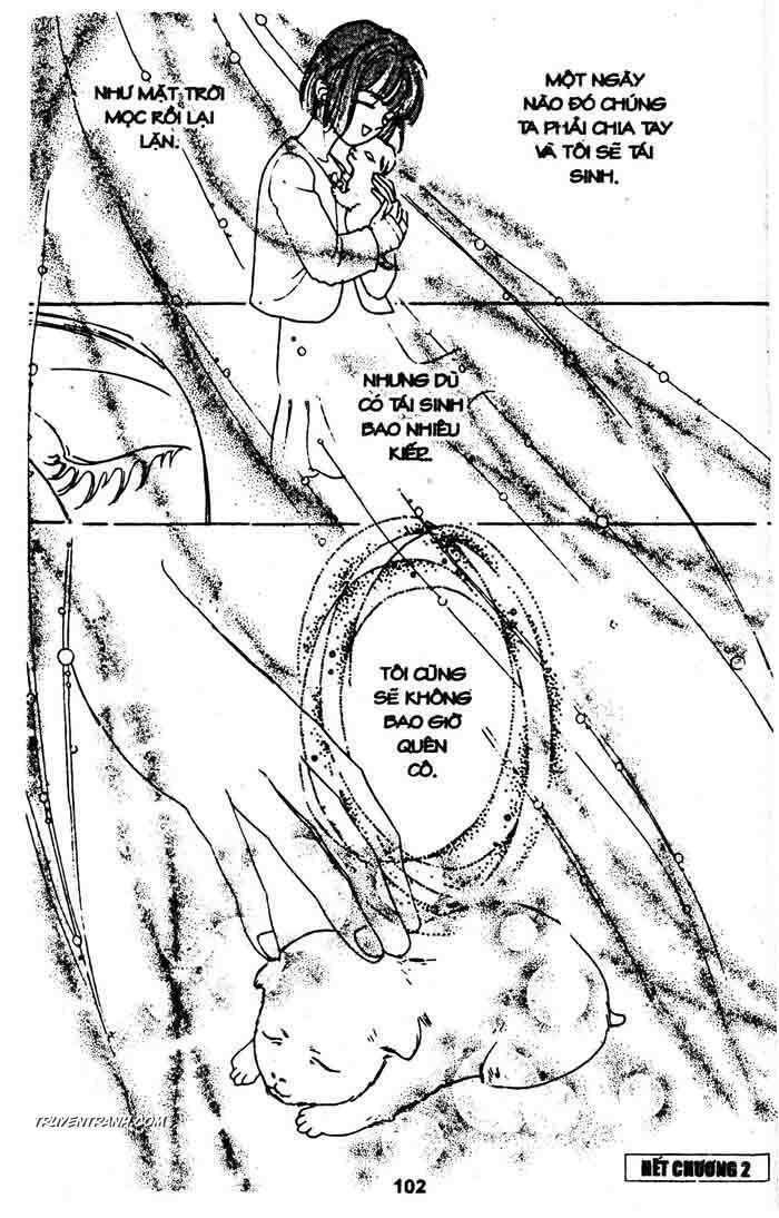 petshop of horrors chapter 25 48