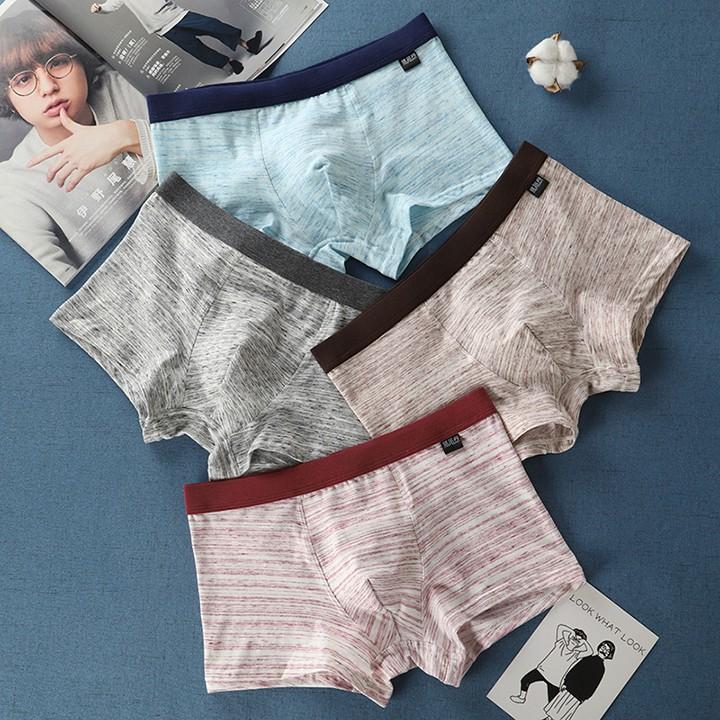 Hộp 4 quần lót nam boxer cotton