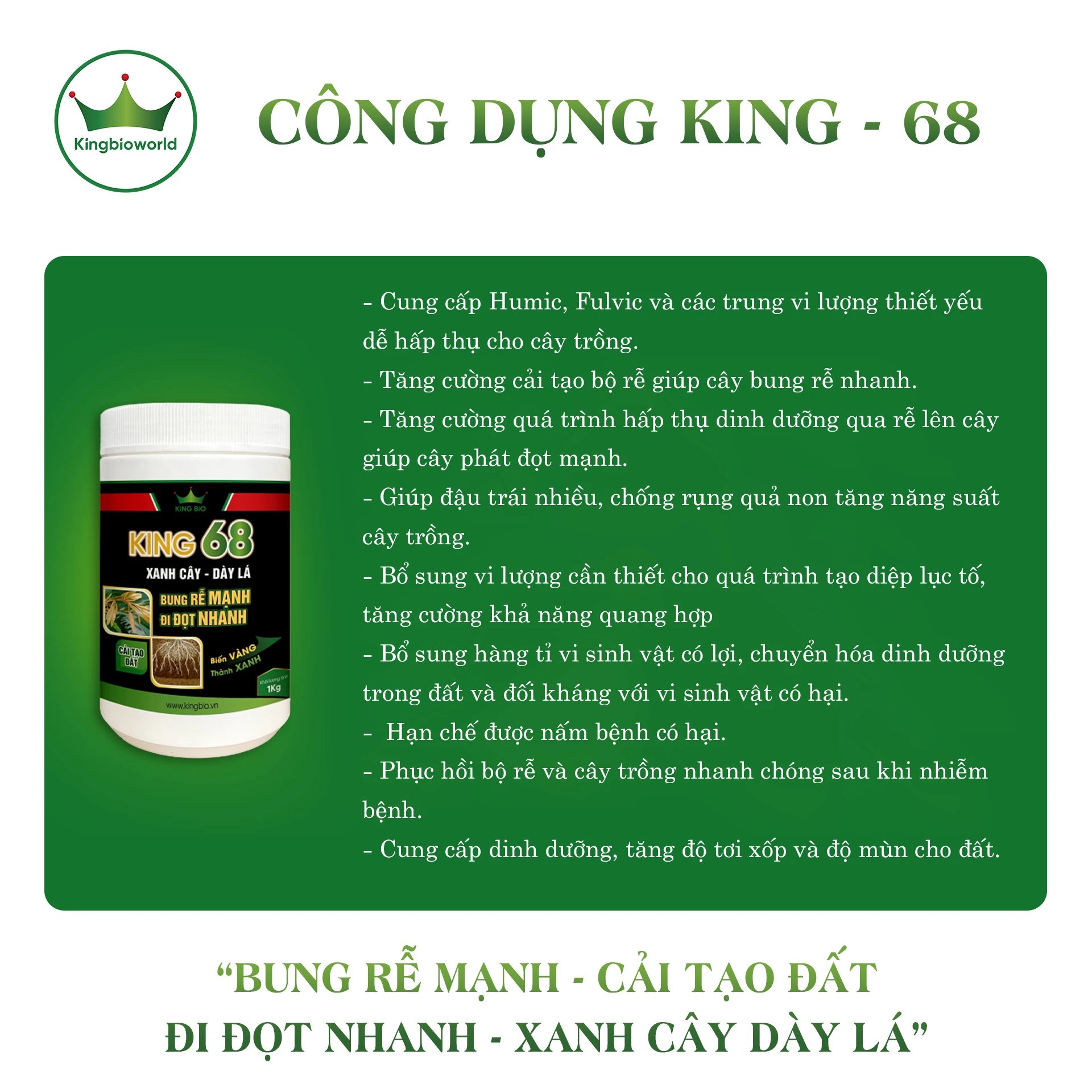 Combo đặc trị vàng lá thối rễ tuyết trùng dứt điểm King F1, King ST1, King 68