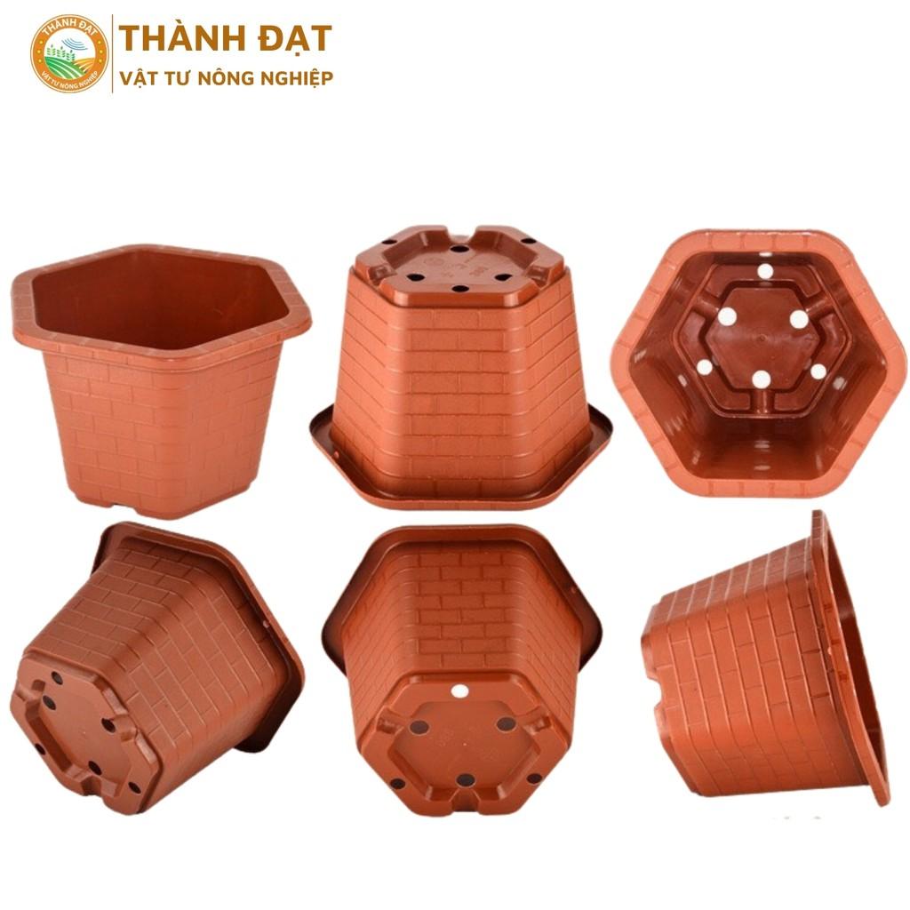 Chậu trồng cây lục giác, chậu nhựa trồng ươm cây lục giác nhiều kích thước màu đỏ gạch