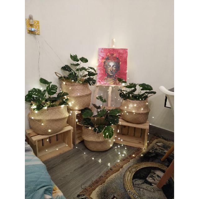 Chậu cây giả, giỏ cói trồng cây cảnh trong nhà cỡ lớn có quai xách decor vintage thân thiện môi trường GC-01