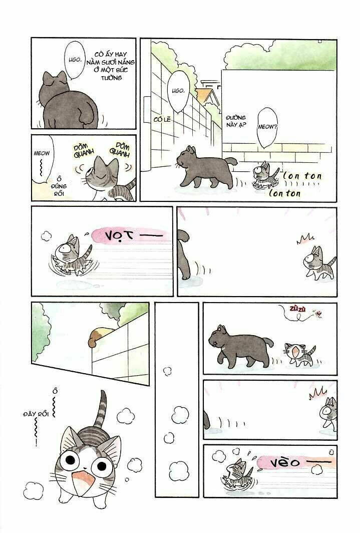 chi's sweet home chapter 92 3