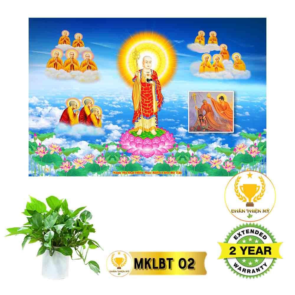 Tranh Mục Liền Liên Bồ Tát có khung
