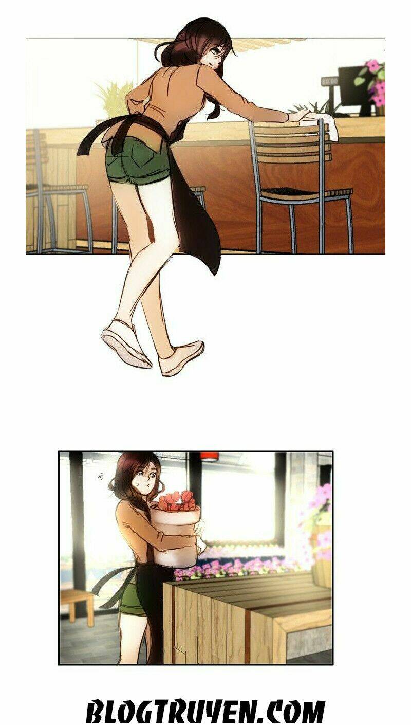 khúc hát người cá siren chapter 1 27