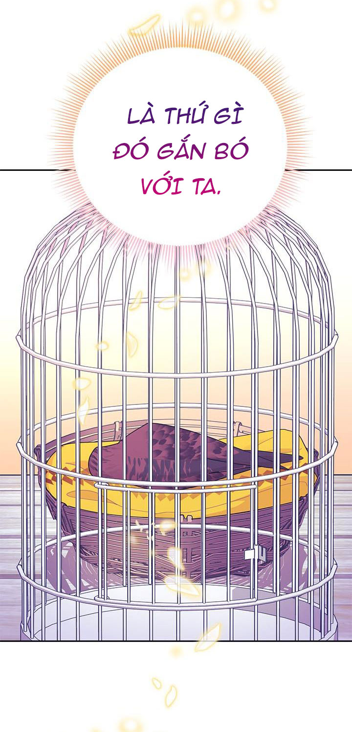 công chúa của loài chim chapter 38.2 15