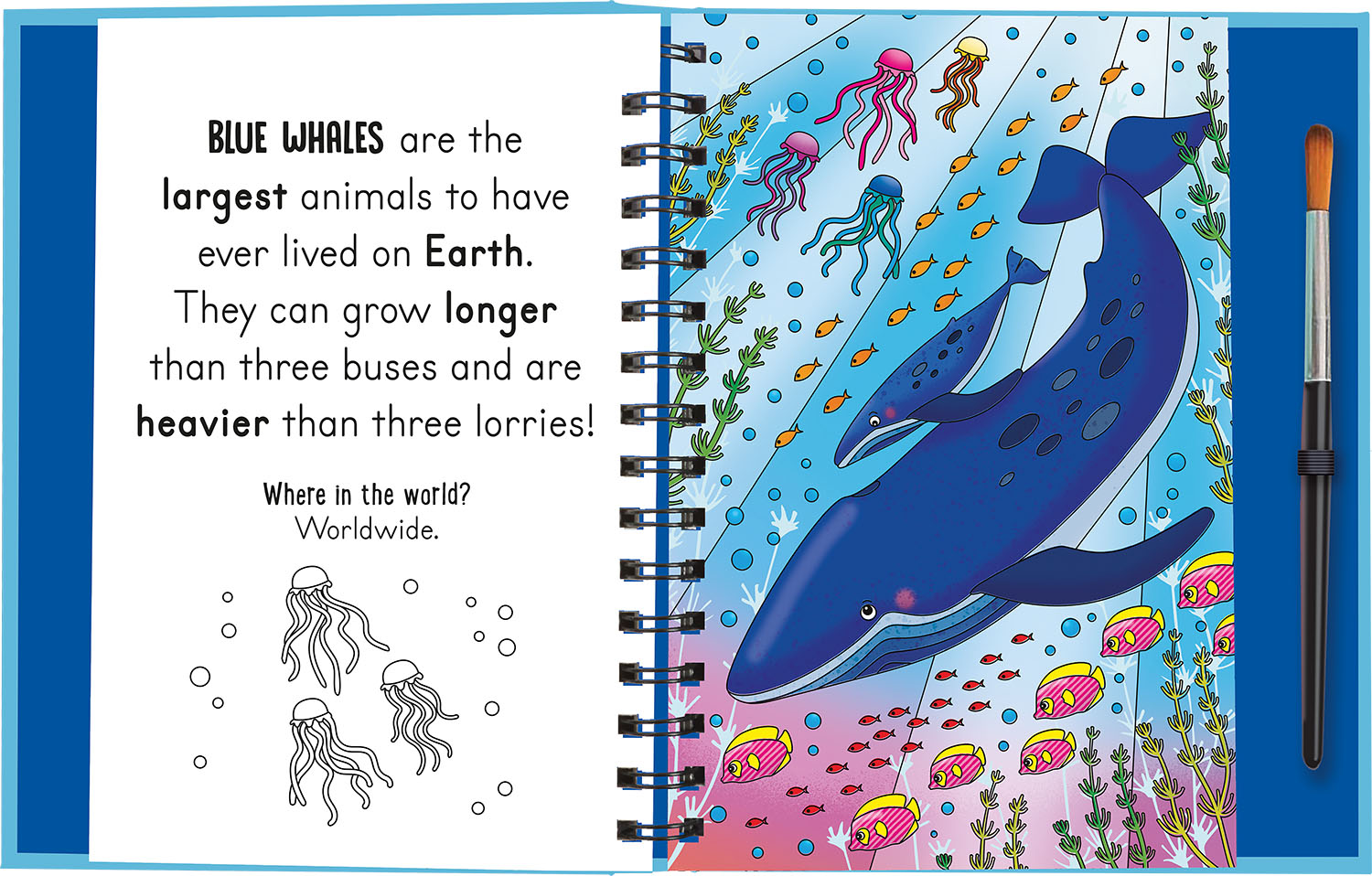 Sách tô màu nước thần kỳ cho bé chủ đề đại dương (Magic water colouring - Under the sea)