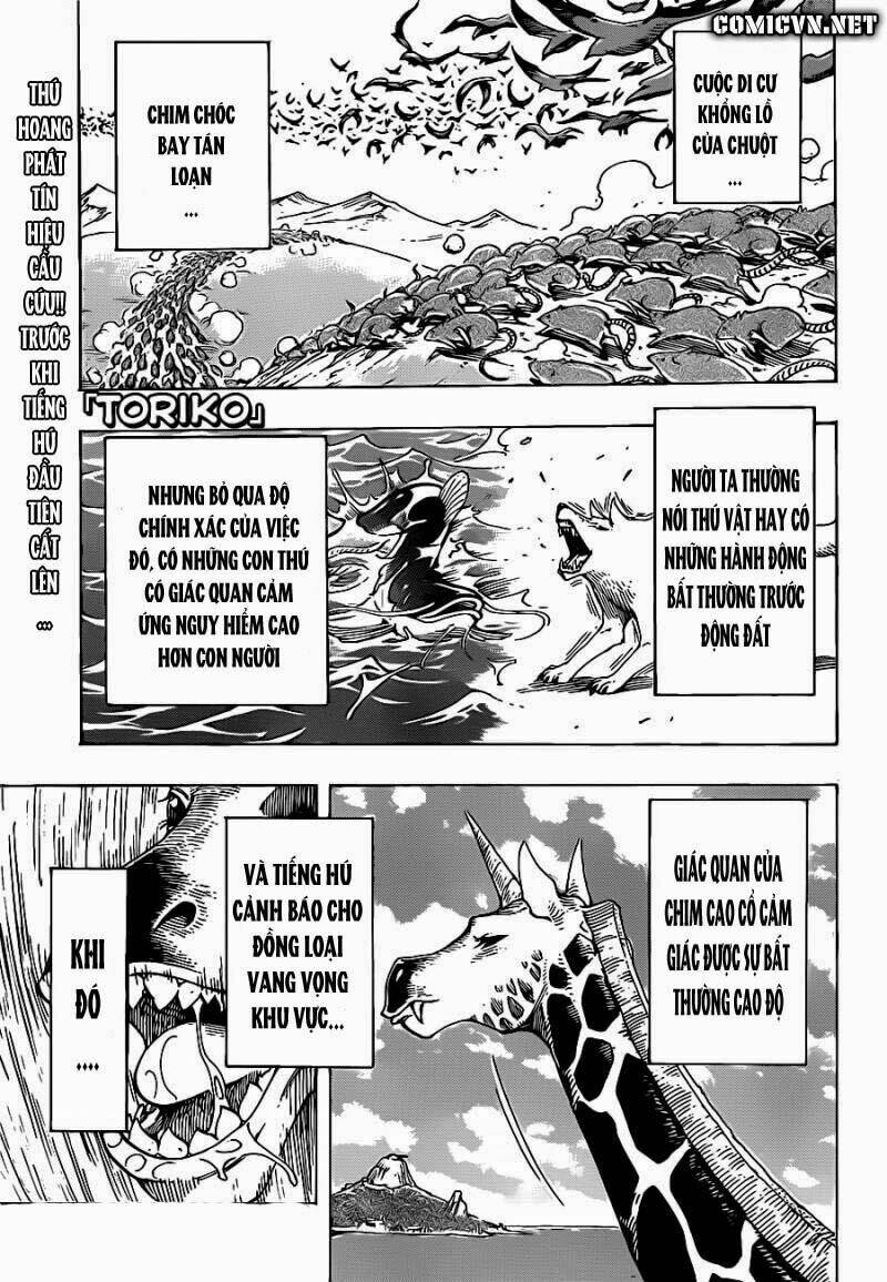 thợ săn ẩm thực chapter 217 1