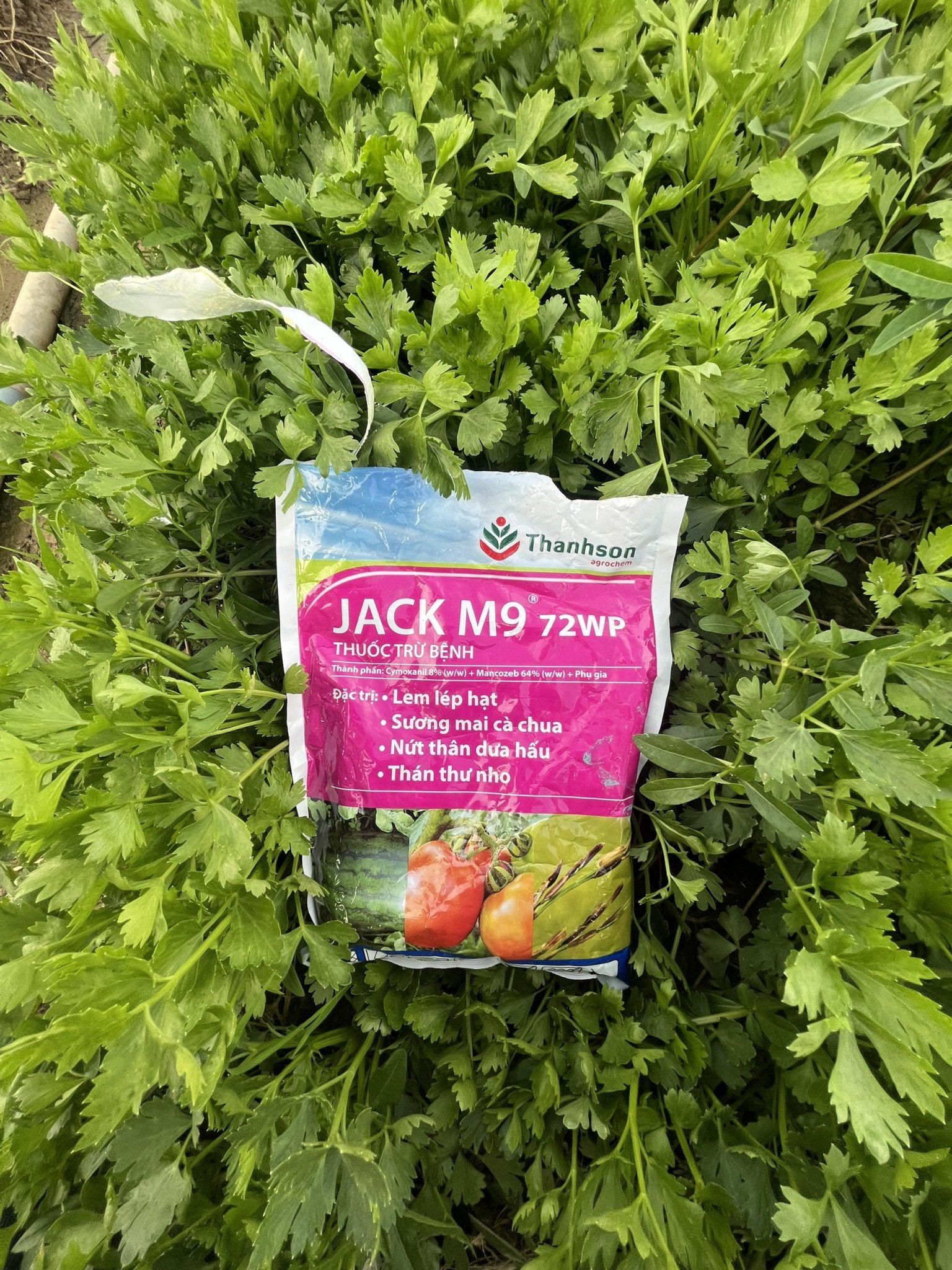 Thuốc trừ bệnh Jack M9 72WP 100g