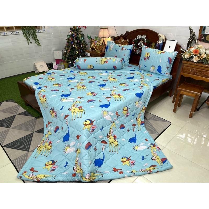 Drap thun hàn quốc