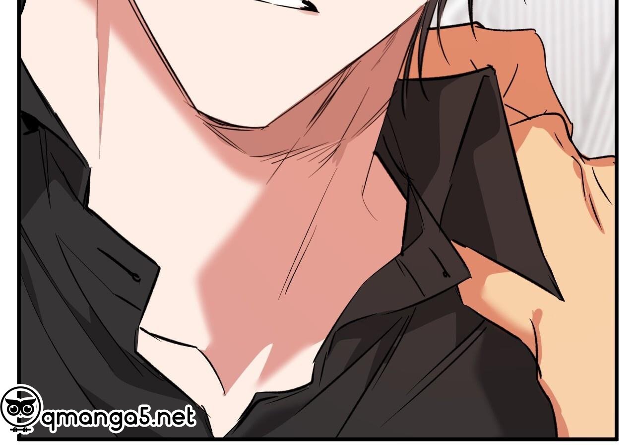 những chú thỏ của hapypy chapter 60 255