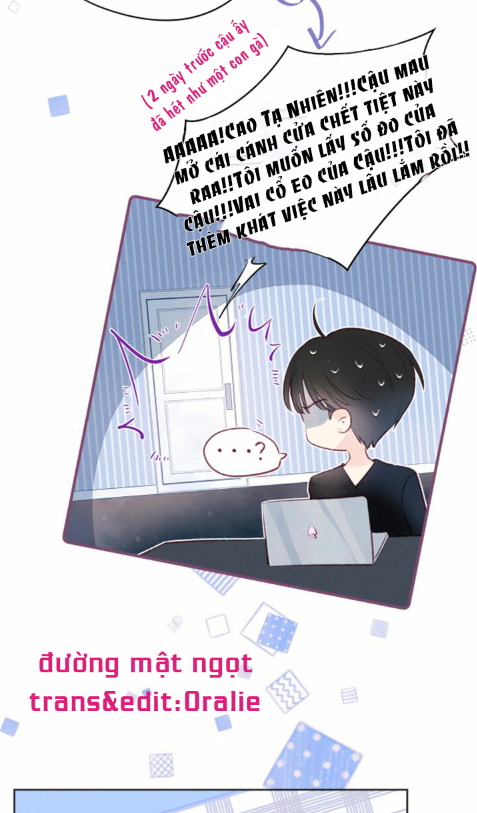 nỗi buồn của hoa cẩm tú cầu chapter 45 22