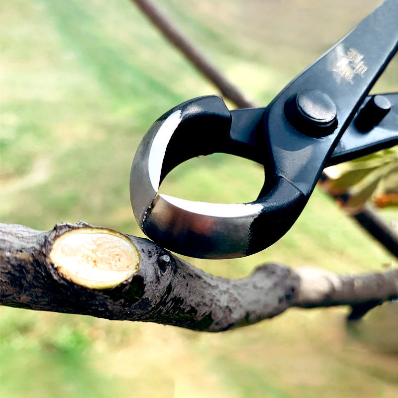 Kìm cạp cây bonsai, cạp tròn cạp xéo hàng nội địa NHẬT BẢN bằng thép đúc nguyên khối-Size 21cm