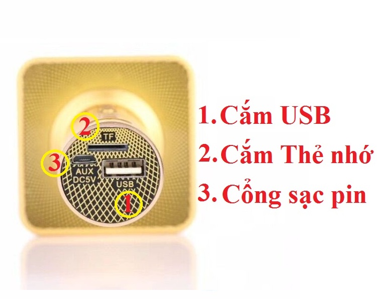 Micro karaoke SD08 Auth kèm loa bluetooth thẻ nhớ USB 3 TRONG 1 PF72