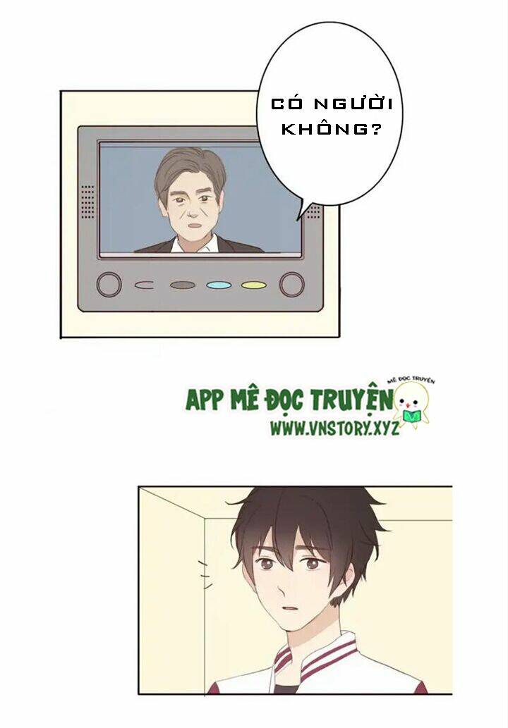 tình yêu không nói dối chapter 36 8