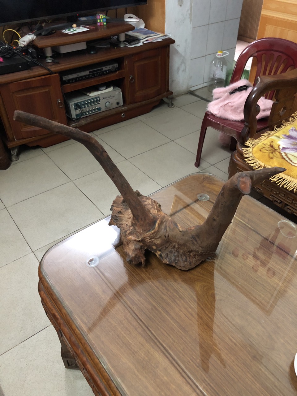 Gỗ lũa nghệ thuật ghép lan rừng Quảng trị