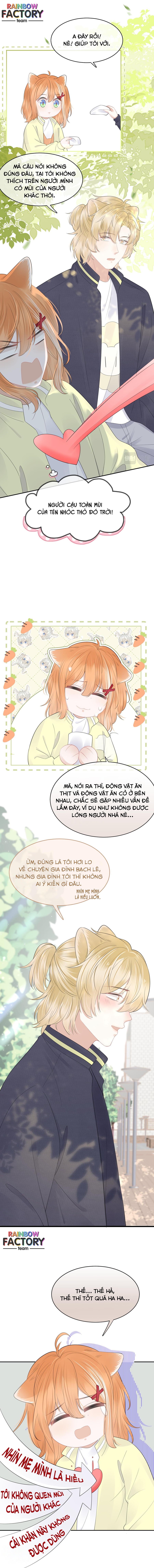 ăn một bé thỏ chapter 48 6